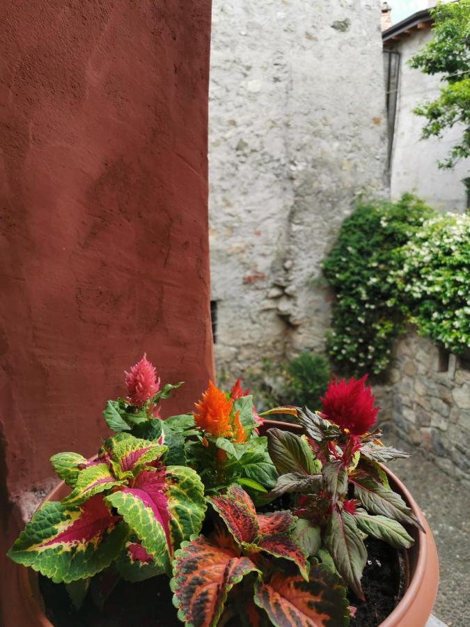 Alla Torre Del Barbarossa B&B Foresteria Mandello del Lario Eksteriør bilde