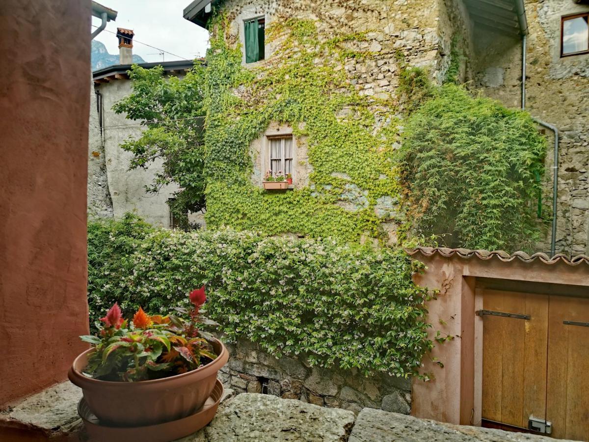 Alla Torre Del Barbarossa B&B Foresteria Mandello del Lario Eksteriør bilde
